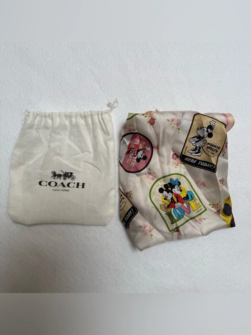 Disney x Coach Silk Scarf